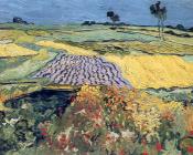 文森特 威廉 梵高 : 麦田